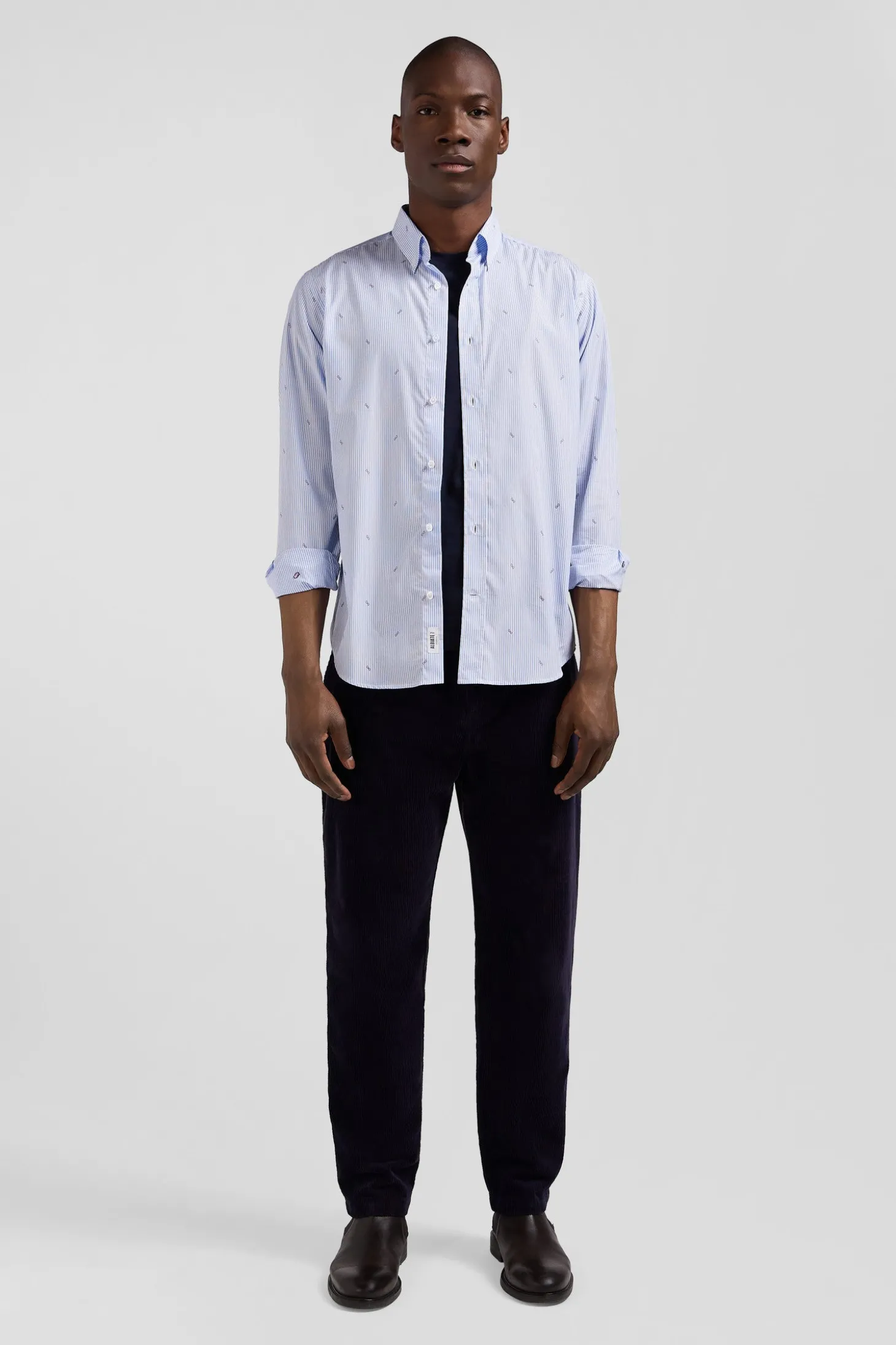 Chemise en coton ciel coupe Regular