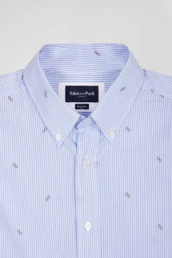 Chemise en coton ciel coupe Regular