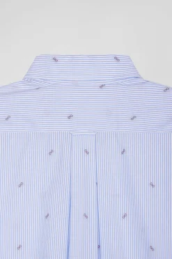Chemise en coton ciel coupe Regular