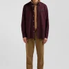 Chemise en coton Oxford bordeaux nœud papillon cerclé coupe Regular