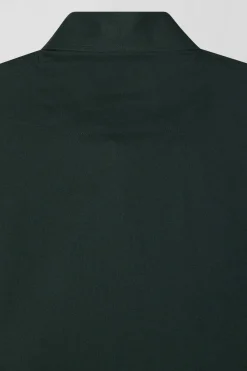 Chemise en coton Oxford vert nœud papillon cerclé coupe Regular