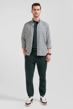Chemise en popeline de coton à rayures verte coupe Regular