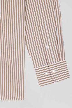 Chemise en popeline de coton rayée marron coupe Regular