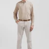 Chemise en twill de coton unie marron col à pointes boutonnées coupe Regular