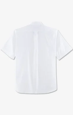 Chemisette blanche unie en coton
