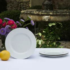 Lot de 6 assiettes blanches rondes en porcelaine de Limoges