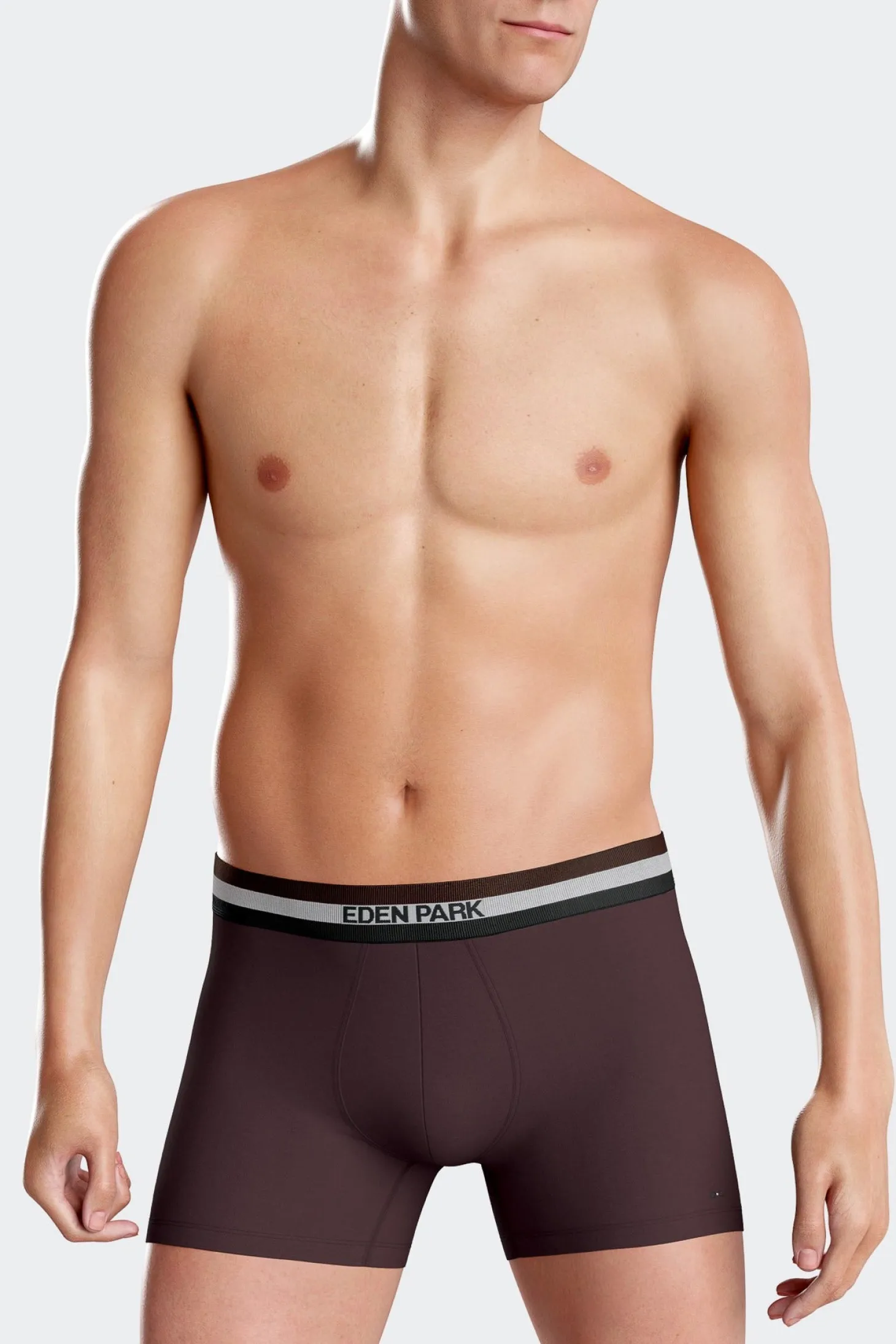 Lot de 2 boxers en coton stretch élastique tricolore bordeaux