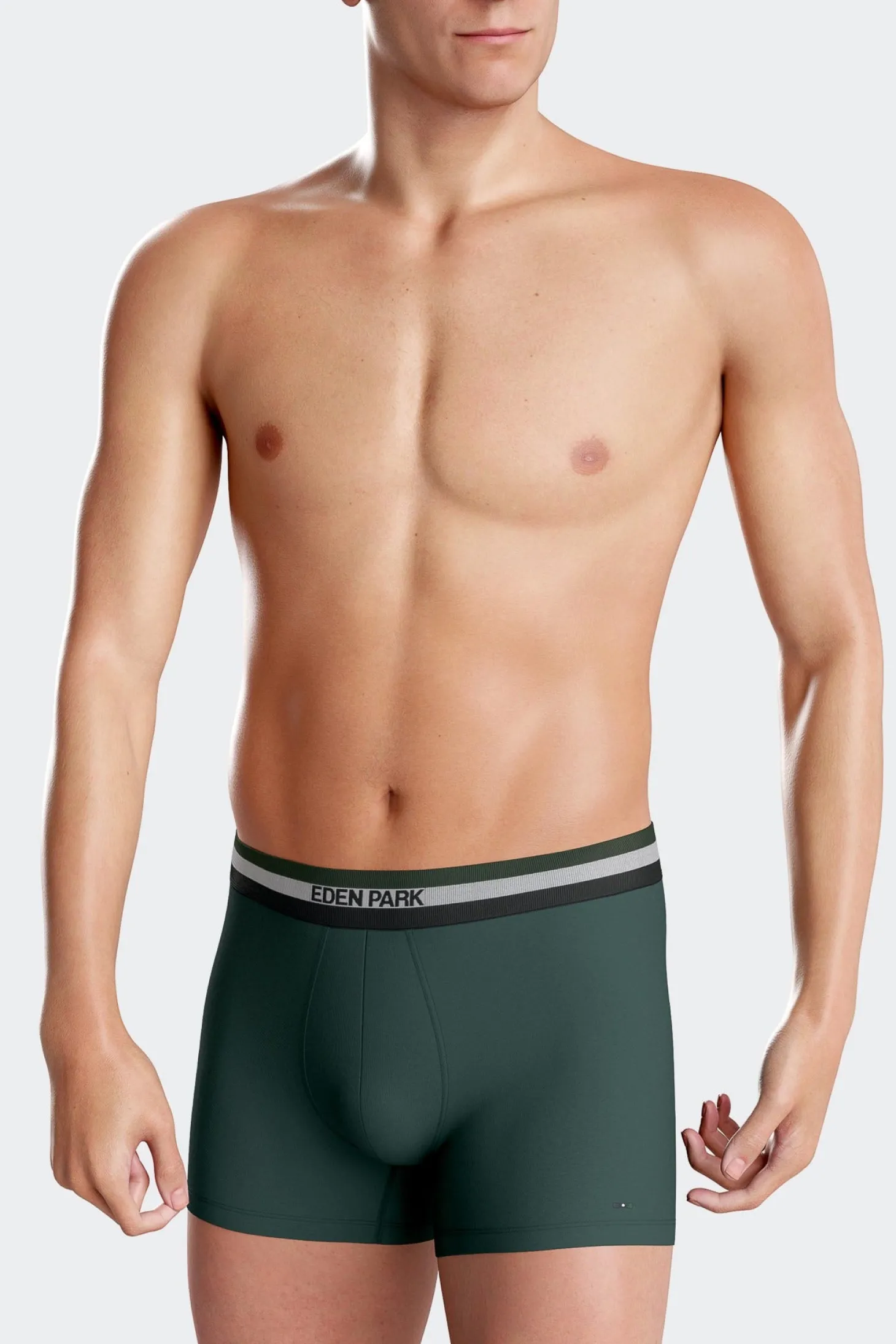 Lot de 2 boxers en coton stretch élastique tricolore vert