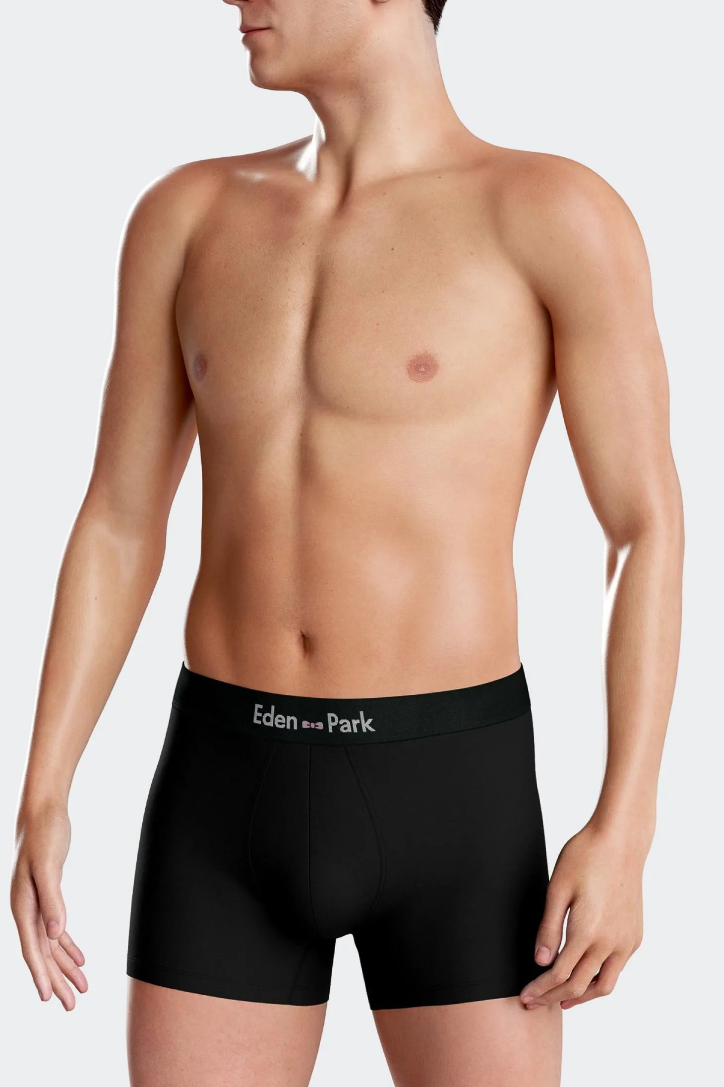 Lot de 2 boxers en coton stretch uni et cerclé gris