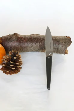 Lot de 6 couteaux à viande