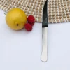 Lot de 6 couteaux de table en inox