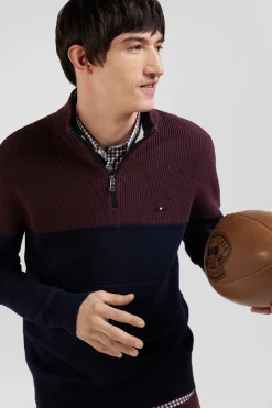 Pull col camionneur en coton bordeaux à jeux de maille coupe Regular