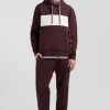 Sweatshirt à capuche colorblock en coton bordeaux coupe Relaxed