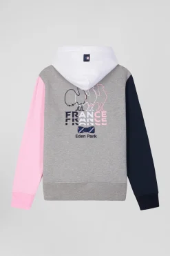 Sweatshirt à capuche colorblock en coton gris XV de France coupe Regular