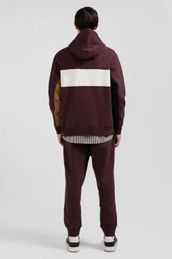 Sweatshirt à capuche colorblock en coton bordeaux coupe Relaxed