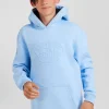 Sweatshirt à capuche en coton mélangé ciel brodé coupe Oversized