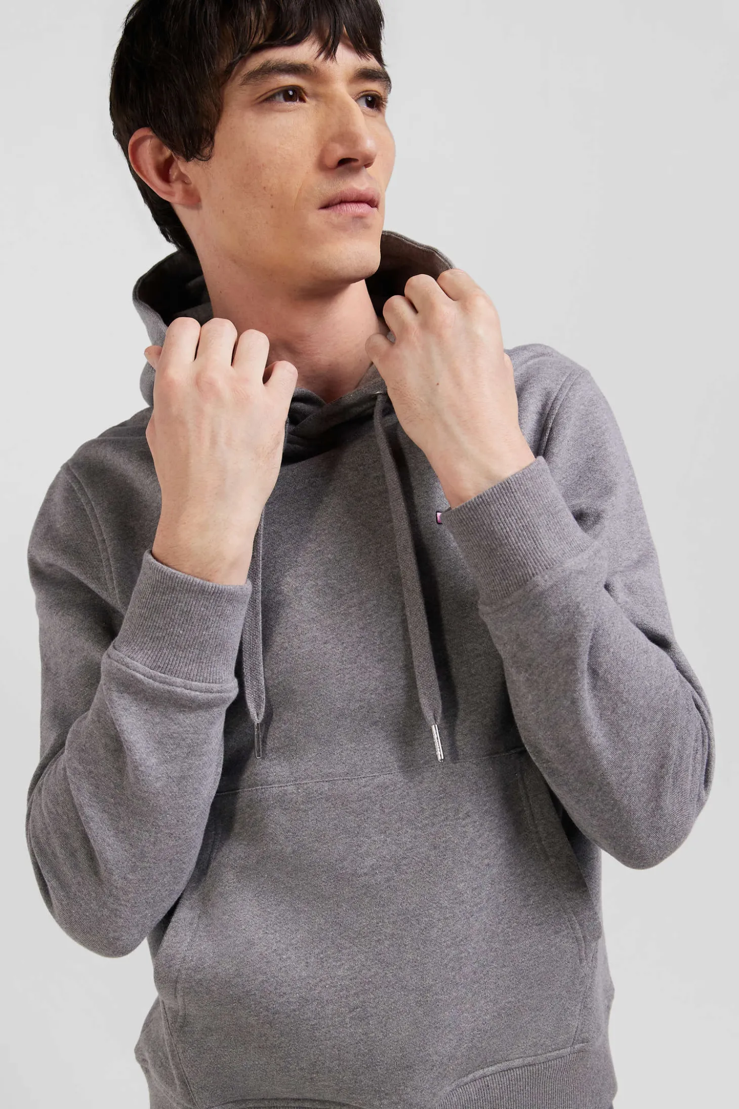 Sweatshirt à capuche en molleton coton gris coupe Regular