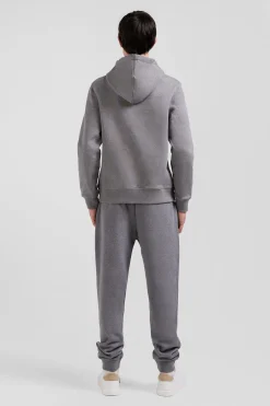 Sweatshirt à capuche en molleton coton gris coupe Regular