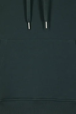 Sweatshirt à capuche en molleton coton vert coupe Regular
