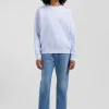 Sweatshirt en molleton coton gratté ciel coupe Relaxed